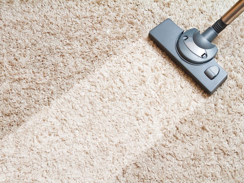 Carpet cleaning vacuum cleaner.